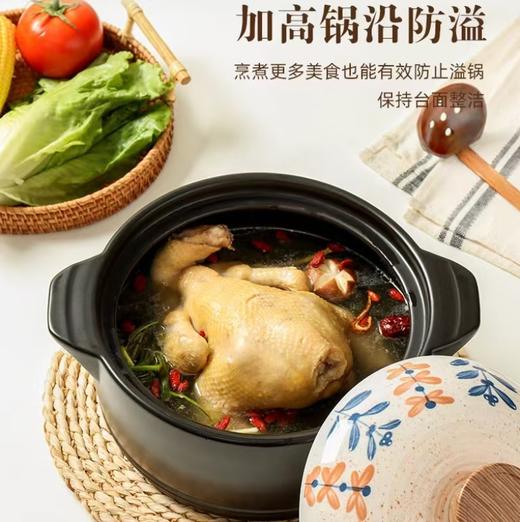 4楼Eubelle欧蓓 川岛屋日式砂锅煲耐高温 燃气灶 大容量炖汤煲汤锅 活动价：158元 商品图3