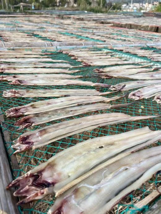 【野生沙鳗鲞】 没有细刺，油麻麻也不咸😋 商品图2