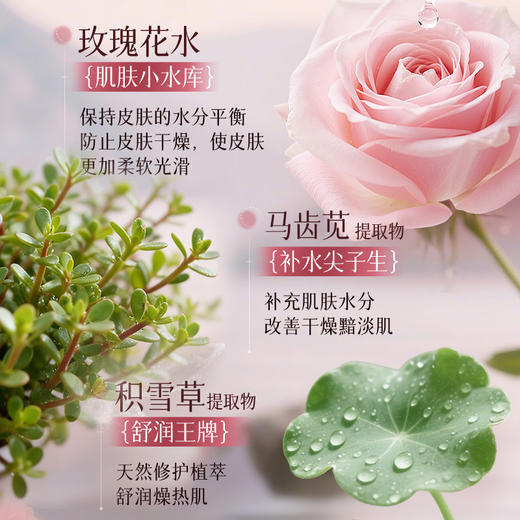 【Anfany--玫瑰精华面膜】高浓玫瑰全链路精萃 三重奢养力 多维活性成分协同 双专利 + 进口原料 + 天丝膜布 轻松养出透亮健康肌 商品图2