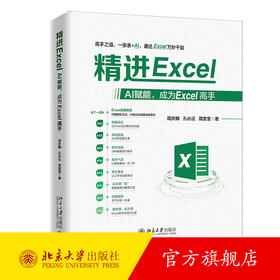 精进Excel：AI赋能，成为Excel高手 周庆麟 孔长征 周奎奎 著 北京大学出版社