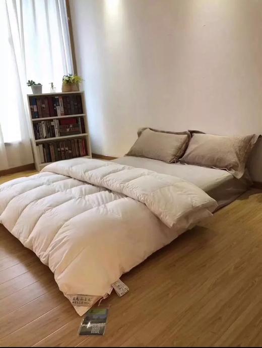 出日本的品牌 生毛工坊 白鹅绒被！ 商品图1