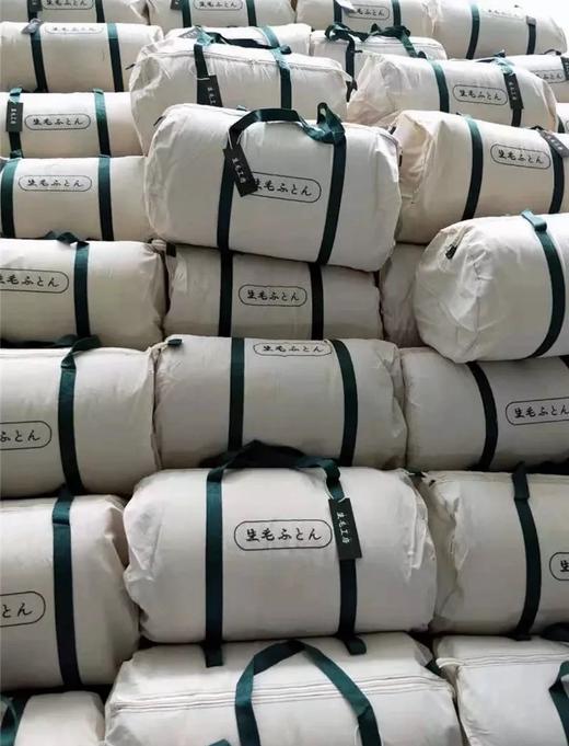 出日本的品牌 生毛工坊 白鹅绒被！ 商品图2