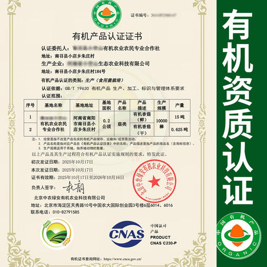 【厂商直发】有机鲜香菇段木香菇1斤/2斤香味浓郁肉质厚实自然鲜美包邮 商品图1