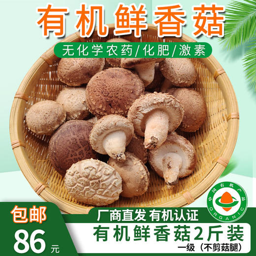 【厂商直发】有机鲜香菇段木香菇1斤/2斤香味浓郁肉质厚实自然鲜美包邮 商品图6