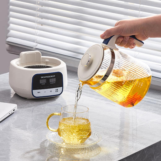 [施耐德]全玻璃花茶壶1.3L 商品图4