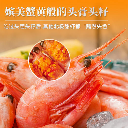【超模君严选】顺丰直邮（2025年10月新货尝鲜）【丹麦进口北极甜虾】头籽橘头虾 头腹籽混合装礼盒 解冻直接吃 肉质鲜嫩甜 低脂高蛋白 免去虾线 男女老少皆宜（下单72小时内发货） 商品图1