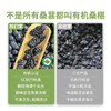 长白山有机桑葚  130克/罐*2罐 商品缩略图3