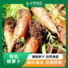 有机胡萝卜 | 脆甜爽口 | 石嫣农场* Organic Carrot 商品缩略图0