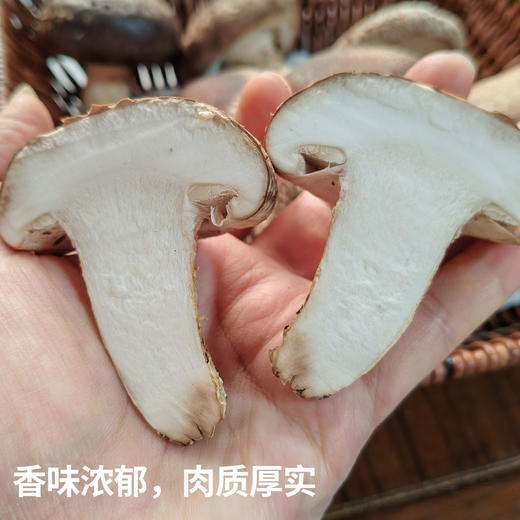【厂商直发】有机鲜香菇段木香菇1斤/2斤香味浓郁肉质厚实自然鲜美包邮 商品图4