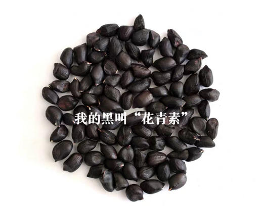 云南高原夕阳黑花生（生）基地直邮 商品图1