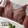 2025无钢圈文胸DYW5184 商品缩略图3