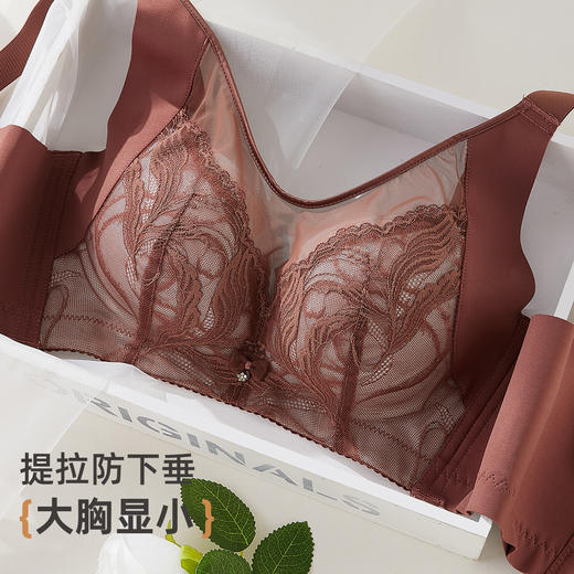 2025无钢圈文胸DYW5184 商品图3