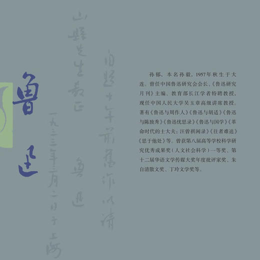 鲁迅与胡适 孙郁 著 三联书店旗舰店 商品图1