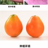 脆蜜金柑 650g/份 商品缩略图1