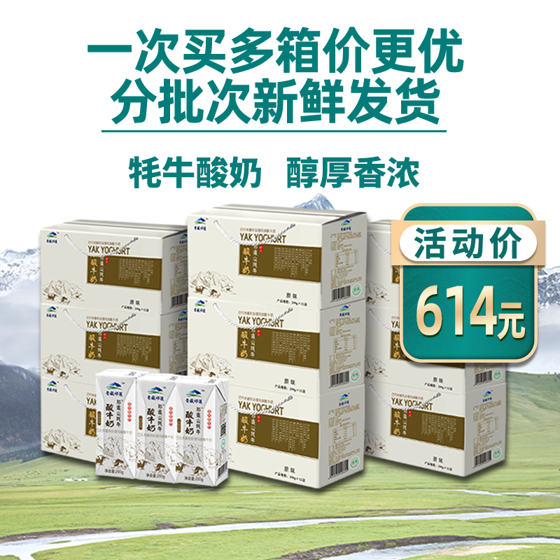 【酸奶莲续订】青藏祁莲酸奶200g*12支*8箱 一键下单 分期发货