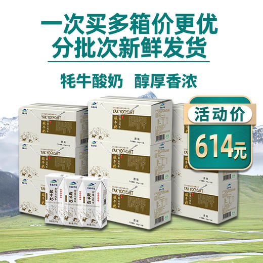 【酸奶莲续订】青藏祁莲酸奶200g*12支*8箱 一键下单 分期发货 商品图0