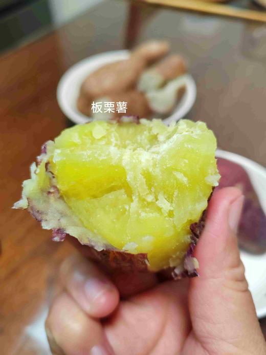 板栗薯 商品图1