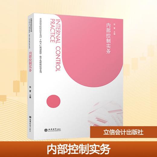 内部控制实务 商品图0