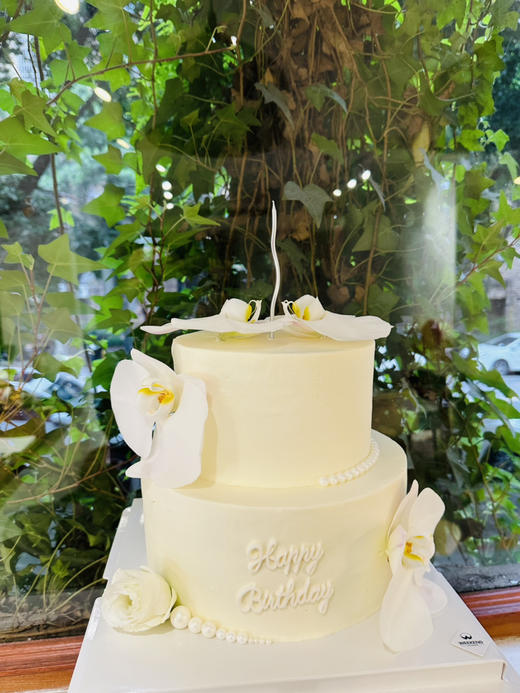 蝴蝶兰 商品图1