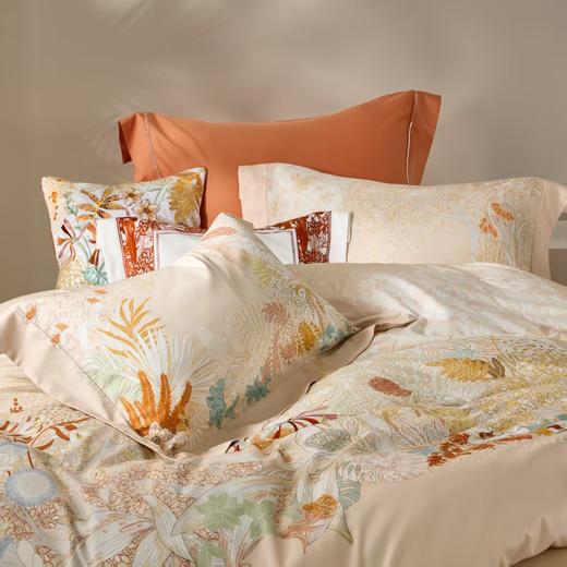 【6F】罗莱·雅 柔心秋野 DY3362-4	米色 商品图4