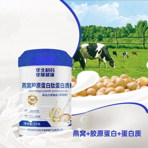  热卖中! 华北制药燕窝胶原蛋白肽蛋白质粉 早餐即食代餐粉 商品图3