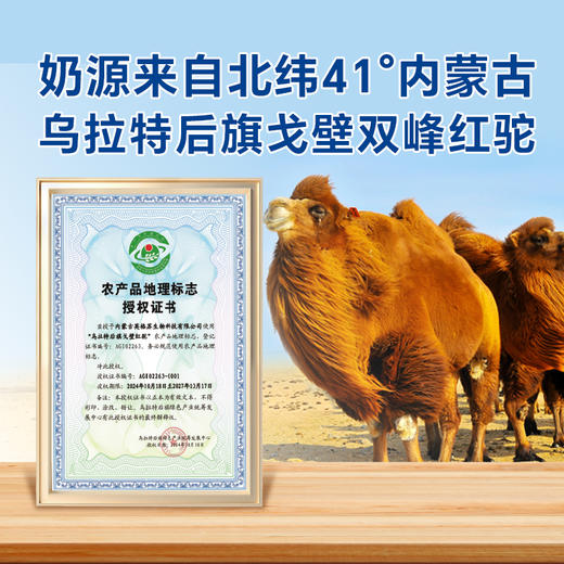 【自营】英格苏全脂驼乳粉 15g*10条 NM 商品图6