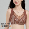 2025无钢圈文胸DYW5184 商品缩略图0