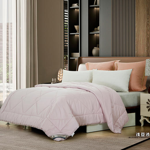 鑫缘 贵族系列纯蚕丝被 ANZC-1 商品图0