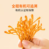 方家铺子 有机蛹虫草50g/瓶装 商品缩略图3