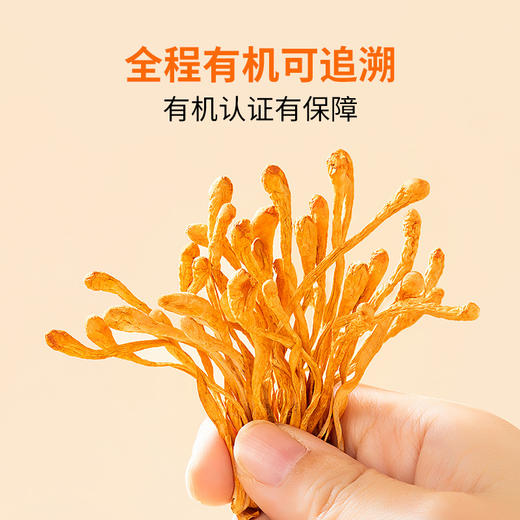 方家铺子 有机蛹虫草50g/瓶装 商品图3