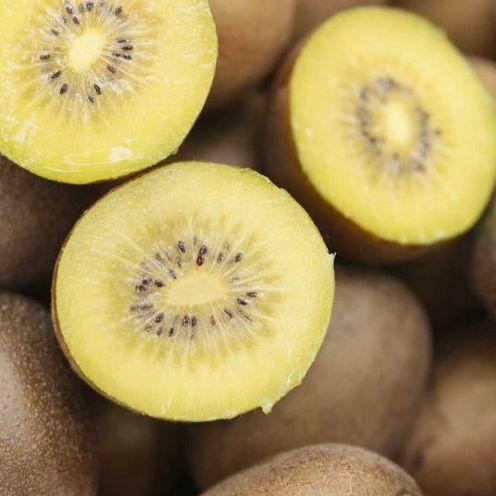 【金秋猕猴桃】应季水果黄心奇异果正宗黄心猕猴桃当季水果 商品图0
