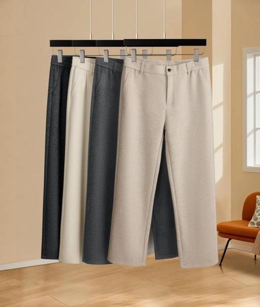 D111702绵羊毛混纺轻商力秋冬厚款男士简约纯色百搭小直筒休闲长裤 商品图0