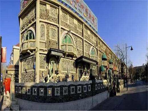 【天津海鸥1日】西伯利亚海鸥来袭-滨海看海鸥-打卡古文化街-意式风情区-五大道 商品图9