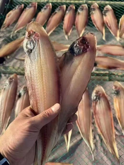 【西北风吹干的鱼鲞 】上锅清蒸10-12分钟即可，鱼肉鲜香，下酒休闲好味道 商品图0