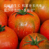 【有故事的西红柿】辽宁盘锦碱地柿子（番茄），酸酸甜甜当水果吃、炒鸡蛋、煮蔬菜汤，果香浓郁～ 商品缩略图4