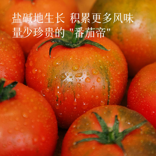 【有故事的西红柿】辽宁盘锦碱地柿子（番茄），酸酸甜甜当水果吃、炒鸡蛋、煮蔬菜汤，果香浓郁～ 商品图4