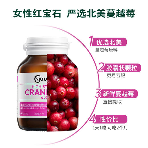 【保税直发】Youthit优思益高浓度蔓越莓胶囊60粒 预防尿路感染 美容养颜 商品图2