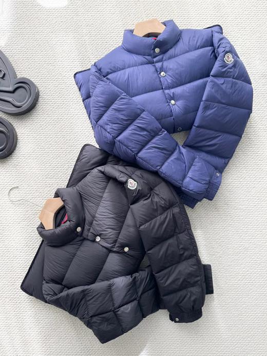 D111717简洁利落限量高蓬松饱满情侣款立领羽绒服 商品图3