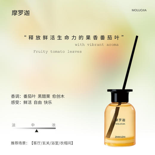 【礼想心动】挚物志 长安未央系列 无火香薰 摩罗迦 120ml 商品图2