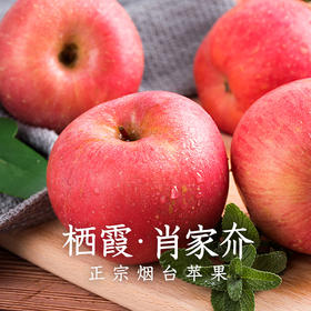 昆悦鲜果 逍駕夼 红富士苹果80#5斤 箱（线上包邮）