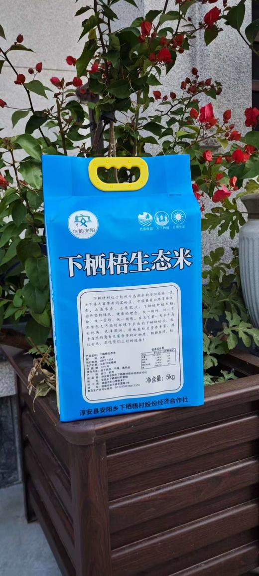下栖梧生态田园香米5KG 无污染 0添加 商品图1