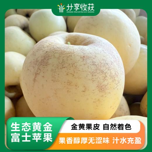 生态黄金富士苹果 | 合作生产 | 基地直发*‌ ‌Golden Fuji Apple‌ 商品图0