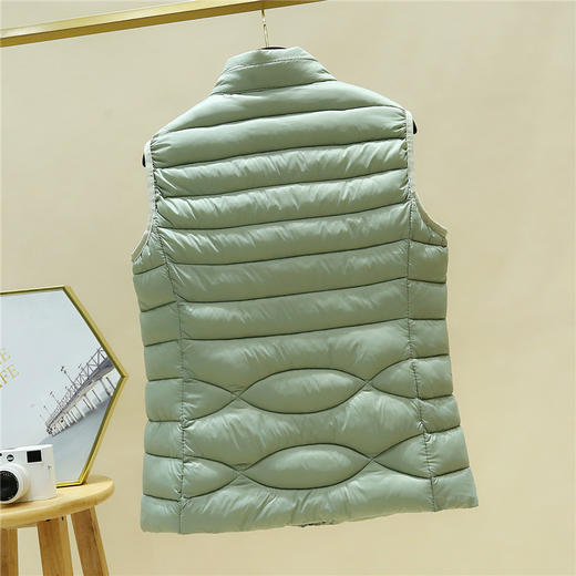 丁摩 秋冬女士羽绒棉马甲短款休闲显瘦立领加厚无袖外套外穿棉坎肩5ZF-2350 商品图1
