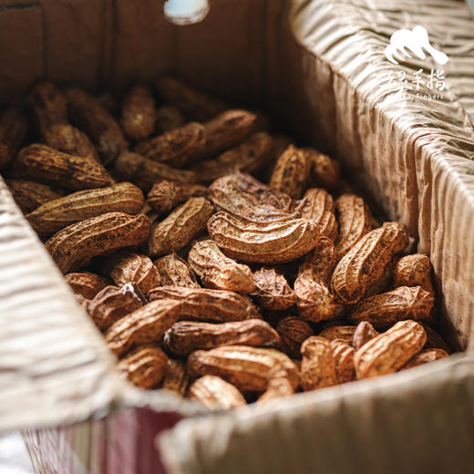 生态七彩鲜花生（中通快递） | 合作生产 *Ecological blooming flowers| Partner Production 商品图3