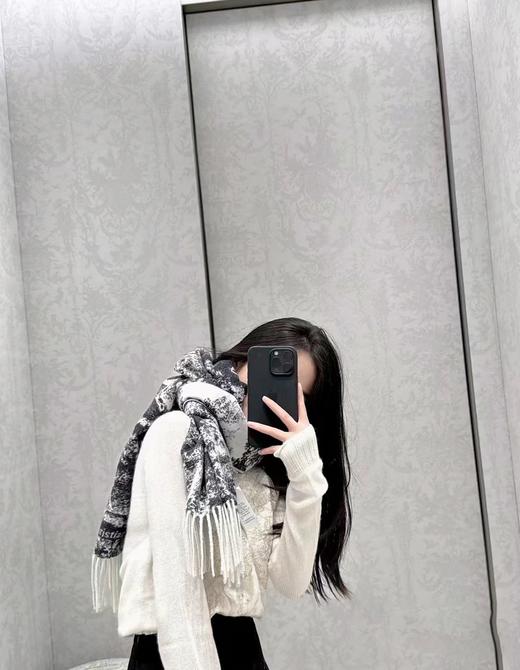 迪奥 新款 动物园印花围巾（DSX） 商品图5