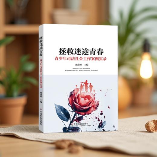 拯救迷途青春：青少年司法社会工作案例实录 商品图1