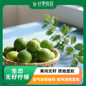 生态无籽青柠檬 | 合作生产 | 基地直发包邮 * Ecological Seedless Green Lemon