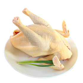 树林散养180天/300天 仙居三黄鸡 有机认证  顺丰冷链