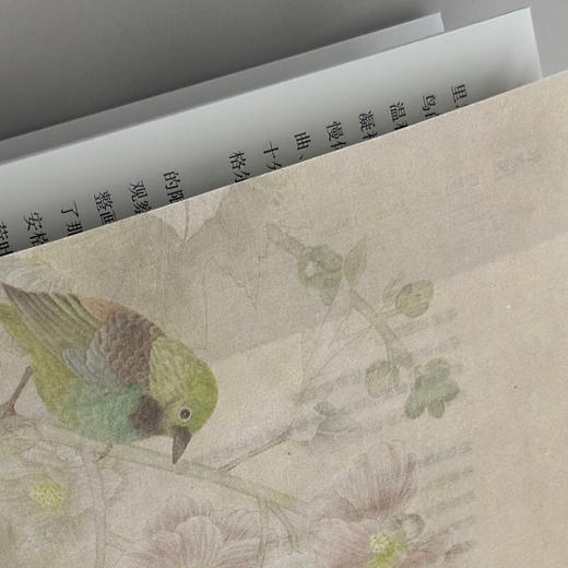 亲签本 只有花儿不会老 江宏伟 著 三联书店旗舰店 商品图3