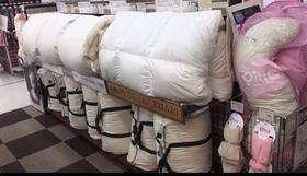 出日本的品牌 生毛工坊 白鹅绒被！